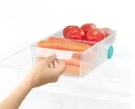 JJ-Pojemnik/organizer L do lodówki FridgeStore  tr - 6