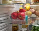 JJ-Pojemnik/organizer L do lodówki FridgeStore  tr - 10