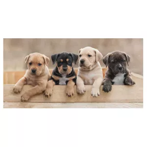 Ręcznik bawełniany 70x140 Szczeniaki