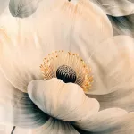 Pościel satyna bawełniana 12427/140x200+1posz.70x80 SATYNLOVE PREMIUM - 6