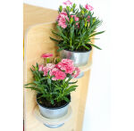 Kuchnia dla dzieci My Mini Home - 6