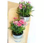 Kuchnia dla dzieci My Mini Home - 6