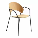 Dosina Dining Chair Armrests Oak - 2