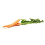 OXO-Pojemnik do przechowywania L biały, Good Grips - 10