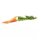 OXO-Pojemnik do przechowywania L biały, Good Grips - 10