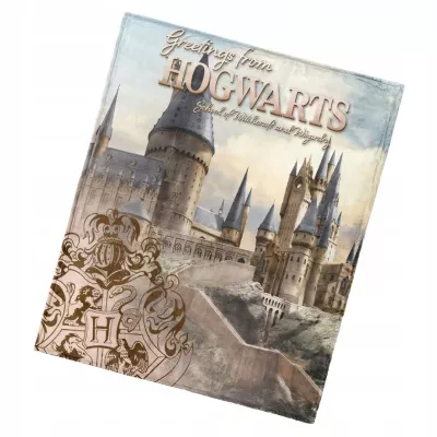 Koc dziecięcy 130x160 Harry Potter (coral) HP235083