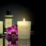 CM-Świeca Premium 230gr. Bergamotto di Calabria - 2