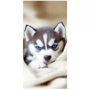 Ręcznik plażowy mikrofibra 100x180 H141