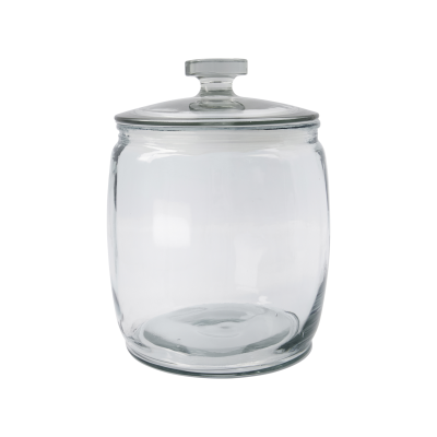 Duży Pojemnik szklany z pokrywką 7l Ville House Doctor