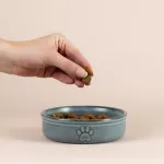 MC-Miska dla zwierzaka 13cm Reactive Paw - 4