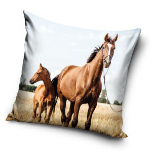 Poszewka mikrofibra 40x40 dwustronna Konik i źrebak