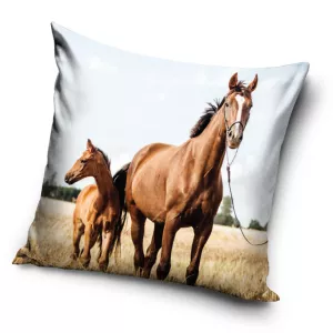 Poszewka velvet 40x40 Konik i źrebak