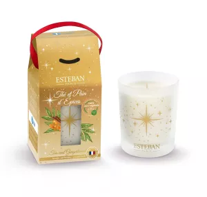 ES-Świeca świąteczna 180g Tea and Gingerbread '24