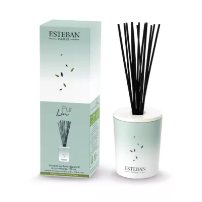 ES-Dyfuzor zapachowy dekoracyjny 100ml Pur Lin