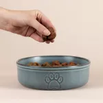 MC-Miska dla zwierzaka 18cm Reactive Paw - 4