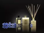CM-Dyfuzor Premium  Reed 100ml. French Linen - 2