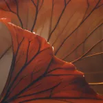 Pościel satyna bawełniana 12407/200x200+2posz.50x70 SATYNLOVE PREMIUM - 4