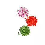 OXO-Rozdrabniacz okrągły biały, Good Grips - 12