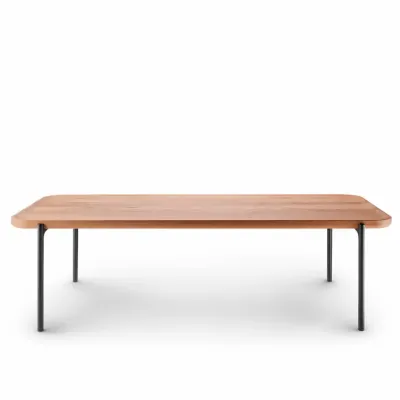 SAVOYE table top 50x120, natural oak