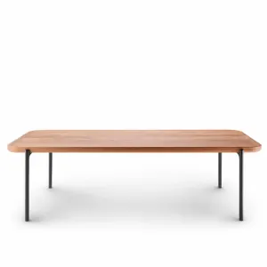 SAVOYE table top 50x120, natural oak