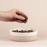 MC-Miska dla zwierzaka 15cm Heatr Paw - 4