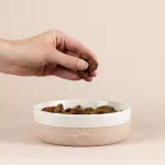 MC-Miska dla zwierzaka 15cm Heatr Paw - 4