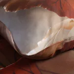 Pościel satyna bawełniana 12407/220x200+2posz.50x70 SATYNLOVE PREMIUM - 3