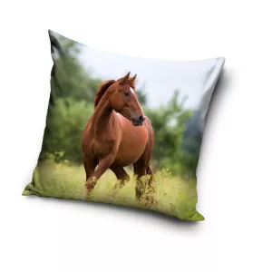 Poszewka mikrofibra 40x40 Koń