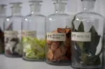 CM-Zapas do dyfuzora 200ml. Bulgarian Rose and Oud - 4