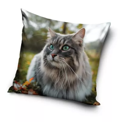 Poszewka velvet 40x40 Kot (231191)