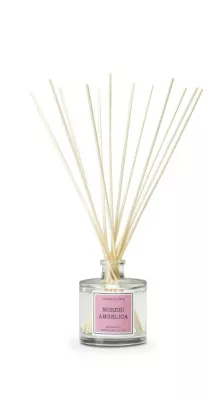 CM-Dyfuzor Santiago  Reed 100ml. Nordic angelica