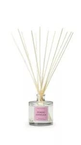 CM-Dyfuzor Santiago  Reed 100ml. Nordic angelica