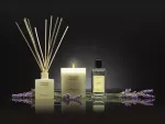 CM-Dyfuzor Premium Reed 100ml Provence Lavender - 2