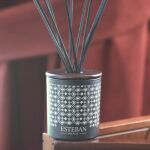 ES-Dyfuzor zapach. dekor. 100ml Teck and Tonka - 3