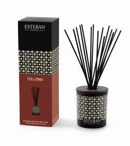 ES-Dyfuzor zapach. dekor. 100ml Teck and Tonka