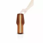 Radiant LED batt. lamp Oak - 2