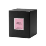 CM-Świeca Santiago 230gr. Nordic angelica - 5