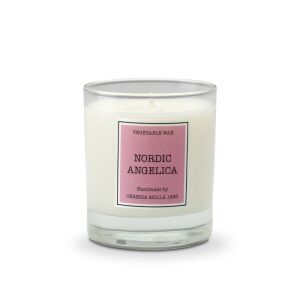 CM-Świeca Santiago 230gr. Nordic angelica