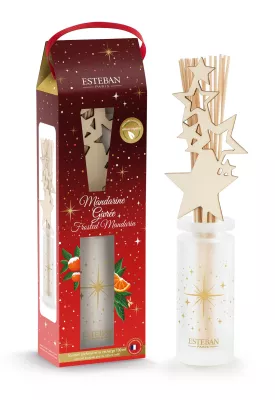 ES-Dyfuzor świąteczny 100ml Frosted Mandarin '24