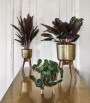 Metalowa Osłonka Antyczne Złoto na Drewnianym Stojaku 38 cm – Nordal | Luksusowa Dekoracja | Kapps Store