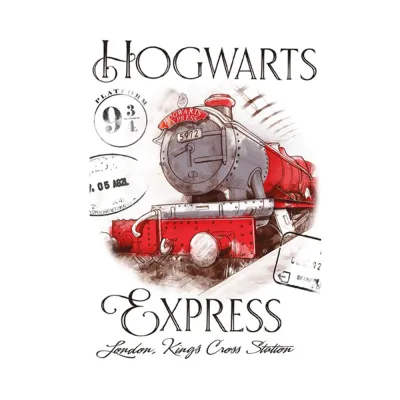 Ręcznik przedszkolny dla dziecka 30x50 Harry Potter Express