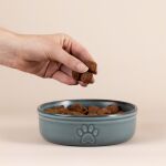 MC-Miska dla zwierzaka 15cm Reactive Paw - 4