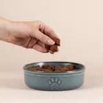 MC-Miska dla zwierzaka 15cm Reactive Paw - 4