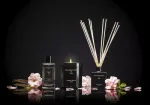 CM-Dyfuzor Premium  Reed 100ml. Bulgarian Rose and - 2