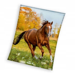 Koc dziecięcy 150x200 Konie KNL231108 (coral)