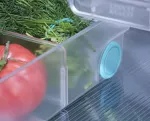 JJ- Pojemnik do lodówki FridgeStore XL - 8