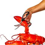 OXO-Nożyce do owoców morza Good Grips - 6