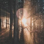 CM-Zestaw 3 małych świec zapachowych Cereria Molla - 11