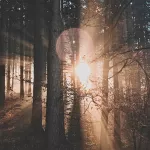 CM-Zestaw 3 małych świec zapachowych Cereria Molla - 11