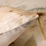 Pościel satyna bawełniana 12425/140x200+1posz.70x80 SATYNLOVE PREMIUM - 4